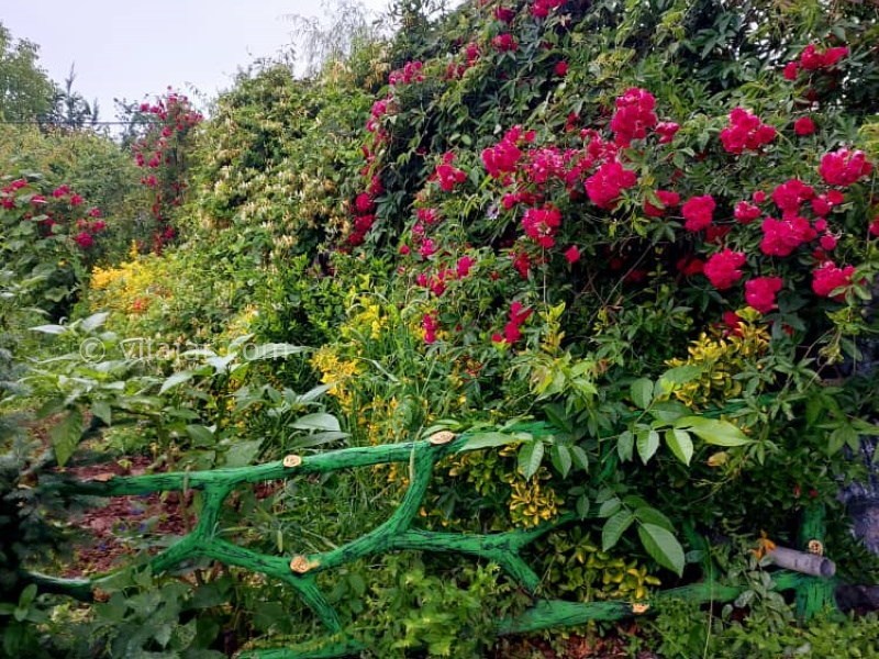 عکس شماره 760147 - ویلا باغ آرامش وشمه سرا ماسال - 