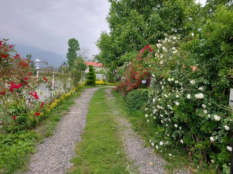 عکس شماره 760149 - ویلا باغ آرامش وشمه سرا ماسال - 