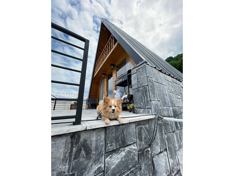 عکس شماره 760314 - کلبه چوبی سوئیسی جنگلی تنکابن - 