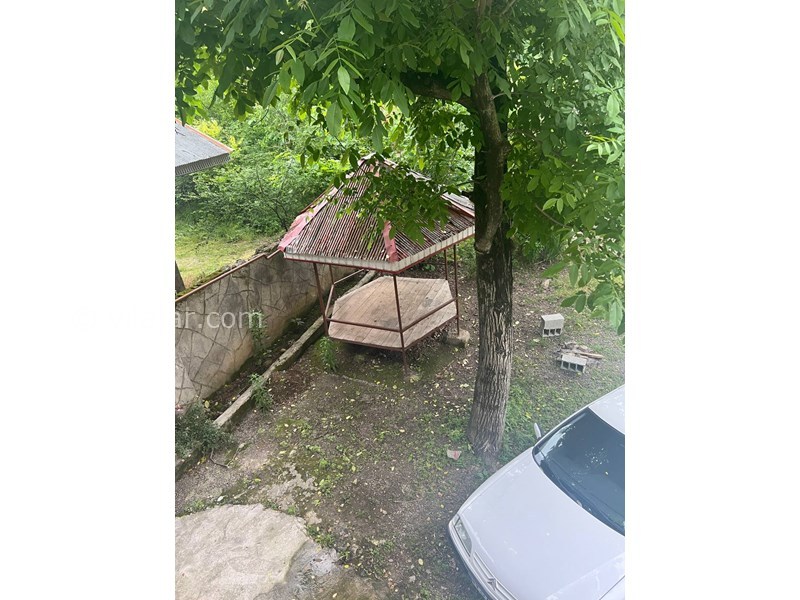 عکس شماره 760788 - اجاره ویلا جنگلی در ماسال - 