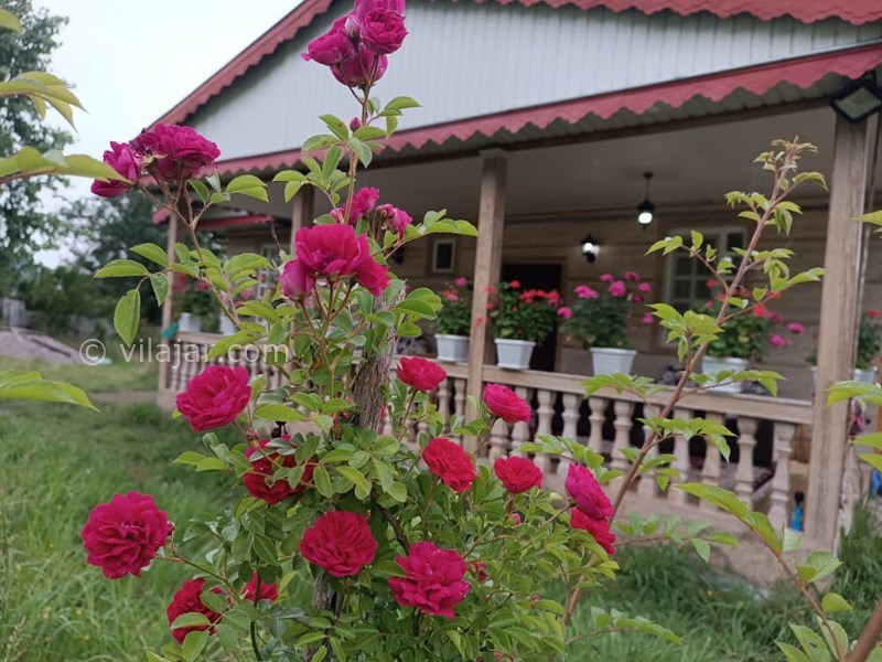 عکس شماره 761211 - اجاره ویلا جنگلی در ماسال شاندرمن - 