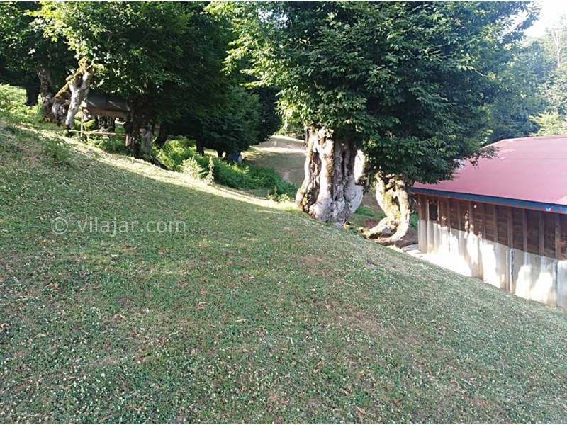 عکس شماره 761331 - اقامتگاه کلبه پیمان اولسبلنگاه ماسال - 