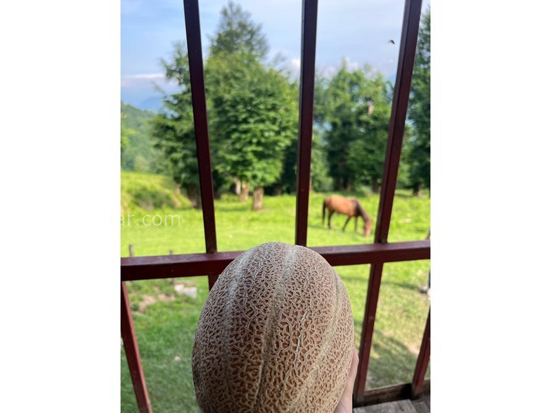 عکس شماره 761344 - اقامتگاه کلبه پیمان اولسبلنگاه ماسال - 