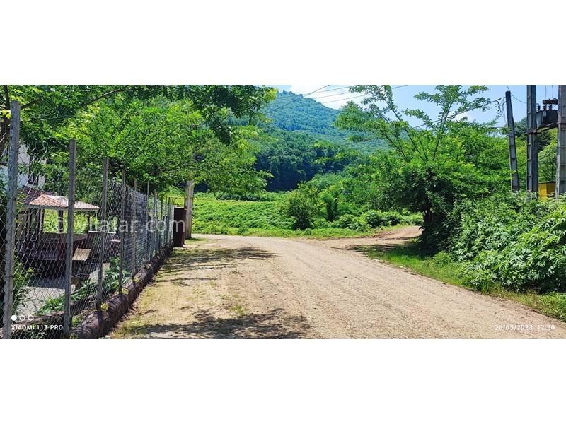 عکس شماره 762115 - اجاره ویلا در ماسال جنگلی - 