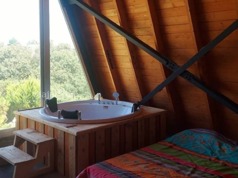 عکس شماره 762345 - کلبه سوئیسی با استخر جکوزی نوشهر - 