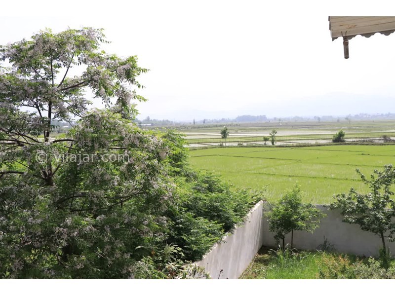 عکس شماره 762396 - اجاره ویلا ساحلی در تالش - 