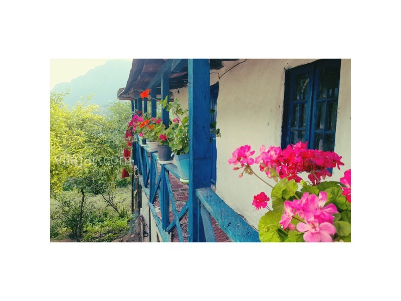 عکس شماره 763077 - اجاره خانه روستایی نزدیک رودسر -