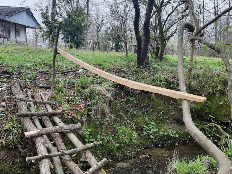 عکس شماره 763515 - اجاره ویلا جنگلی در شاندرمن گیلان - 