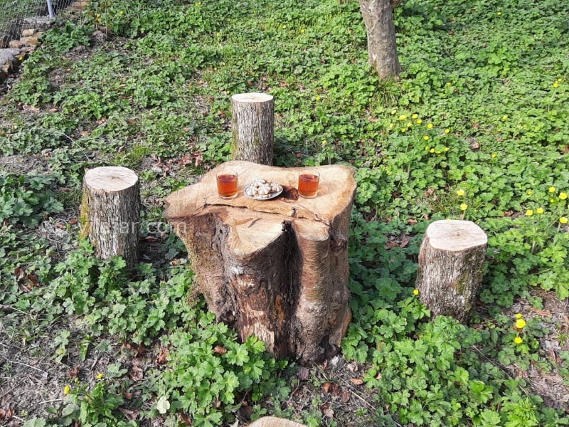 عکس شماره 763518 - اجاره ویلا جنگلی در شاندرمن گیلان - 