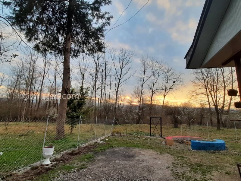 عکس شماره 763519 - اجاره ویلا جنگلی در شاندرمن گیلان - 