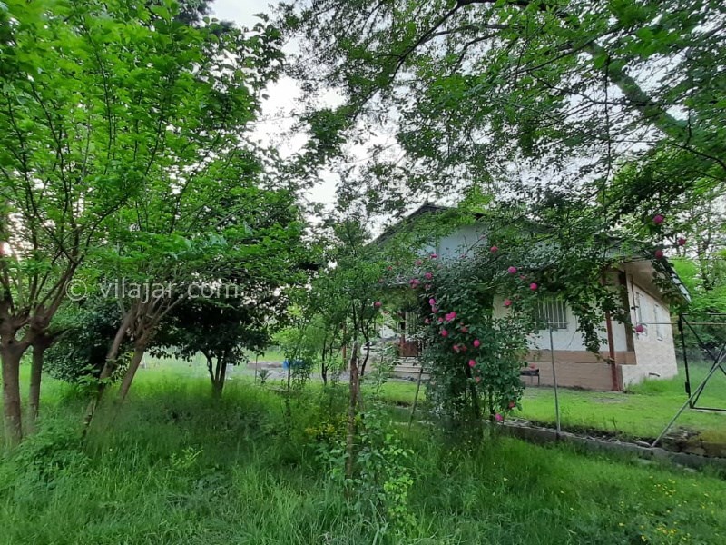 عکس شماره 763526 - اجاره ویلا جنگلی در شاندرمن گیلان - 