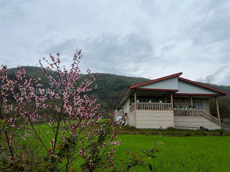 عکس شماره 764101 - اجاره ویلا جنگلی در ماسال شاندرمن - 