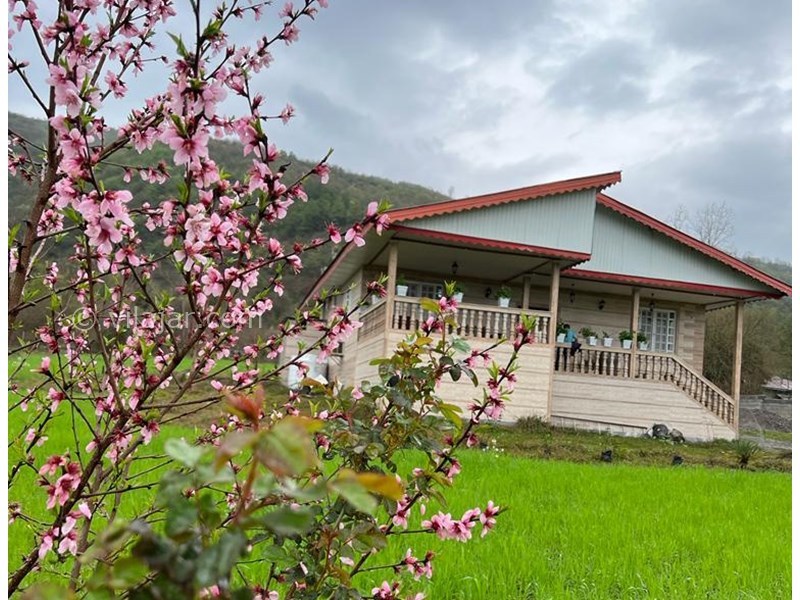 عکس شماره 764102 - اجاره ویلا جنگلی در ماسال شاندرمن - 