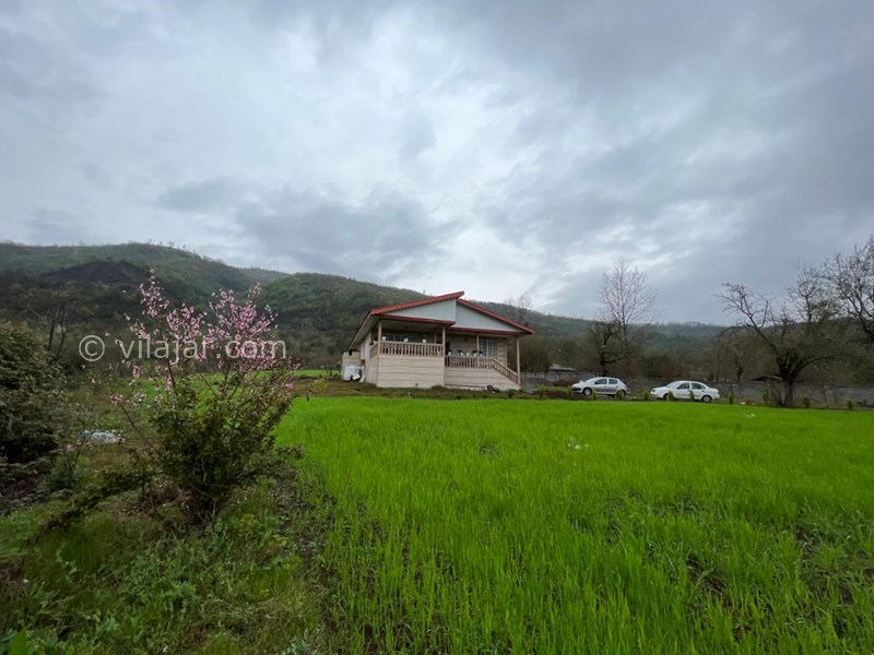 عکس شماره 764104 - اجاره ویلا جنگلی در ماسال شاندرمن - 