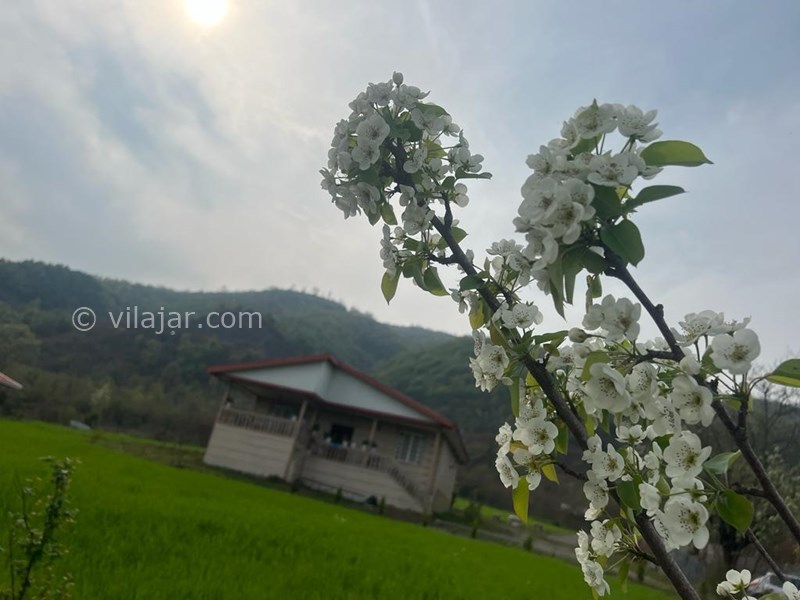 عکس شماره 764107 - اجاره ویلا جنگلی در ماسال شاندرمن - 