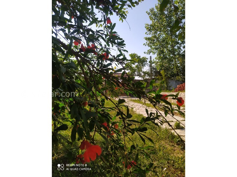 عکس شماره 765675 - اجاره ویلا با استخر سرپوشیده بهشهر -