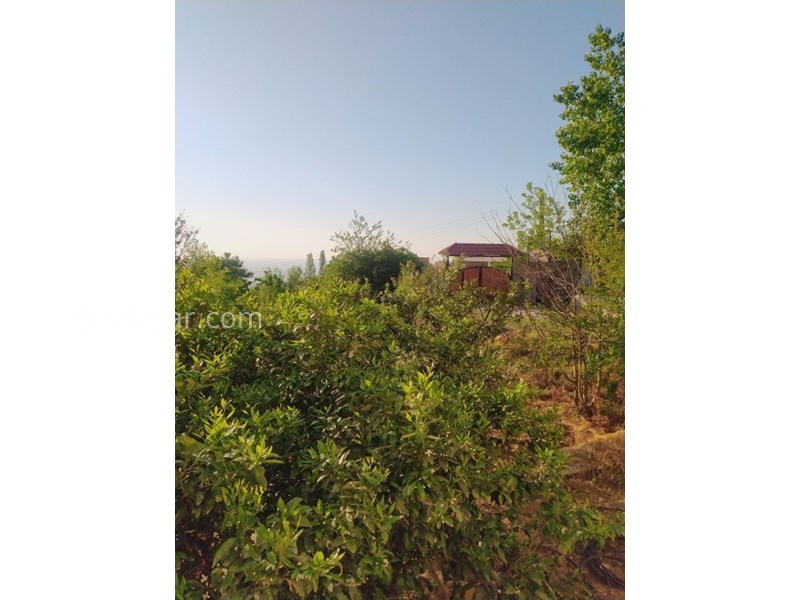 عکس شماره 765677 - اجاره ویلا با استخر سرپوشیده بهشهر -