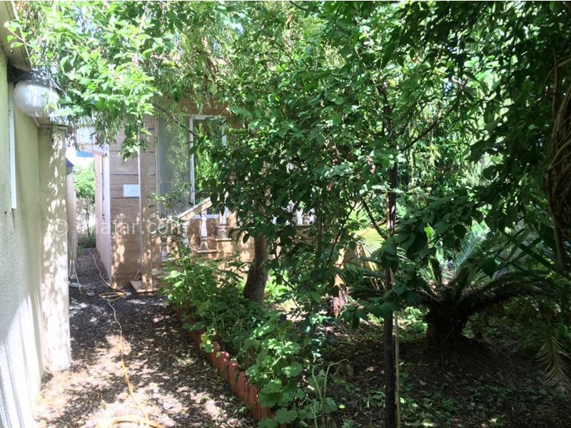 عکس شماره 765776 - اجاره ویلا در محمودآباد - 