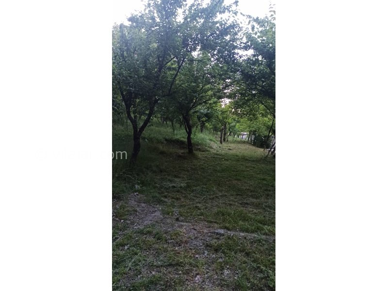 عکس شماره 766394 - اجاره ویلا جنگلی در سوادکوه زیراب - 
