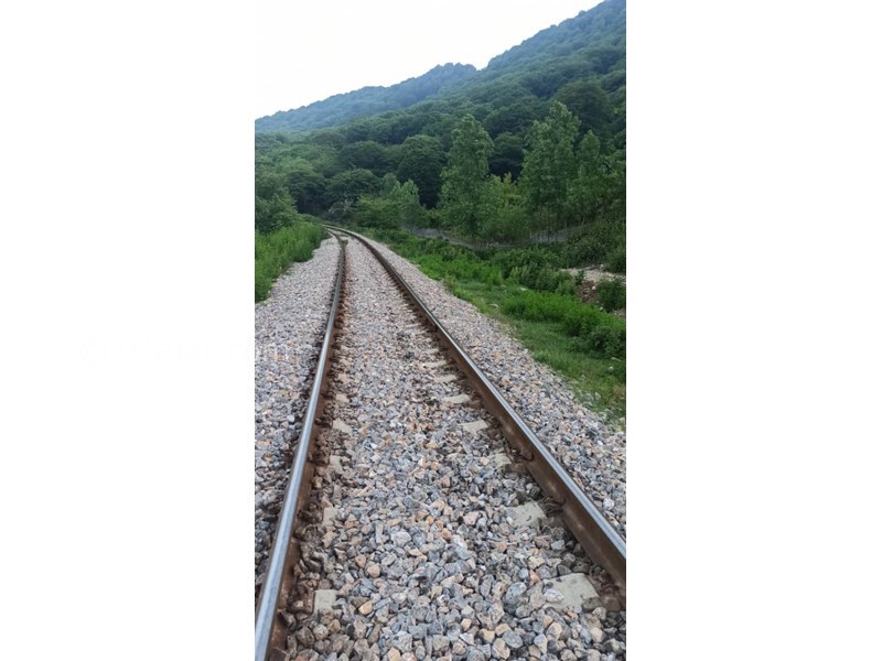 عکس شماره 766397 - اجاره ویلا جنگلی در سوادکوه زیراب - 