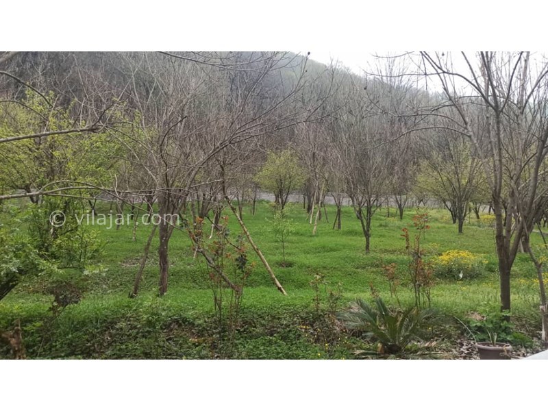 عکس شماره 766402 - اجاره ویلا جنگلی در سوادکوه زیراب - 