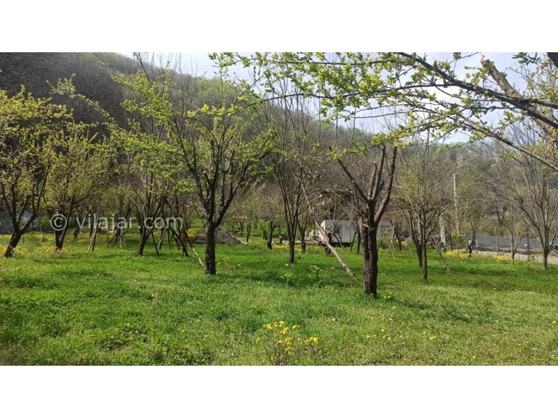 عکس شماره 766404 - اجاره ویلا جنگلی در سوادکوه زیراب - 