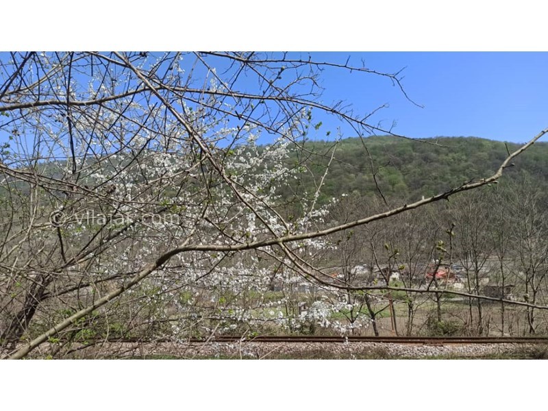 عکس شماره 766408 - اجاره ویلا جنگلی در سوادکوه زیراب - 