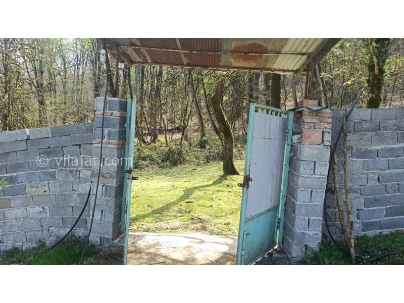 عکس شماره 766410 - اجاره ویلا جنگلی در سوادکوه زیراب - 