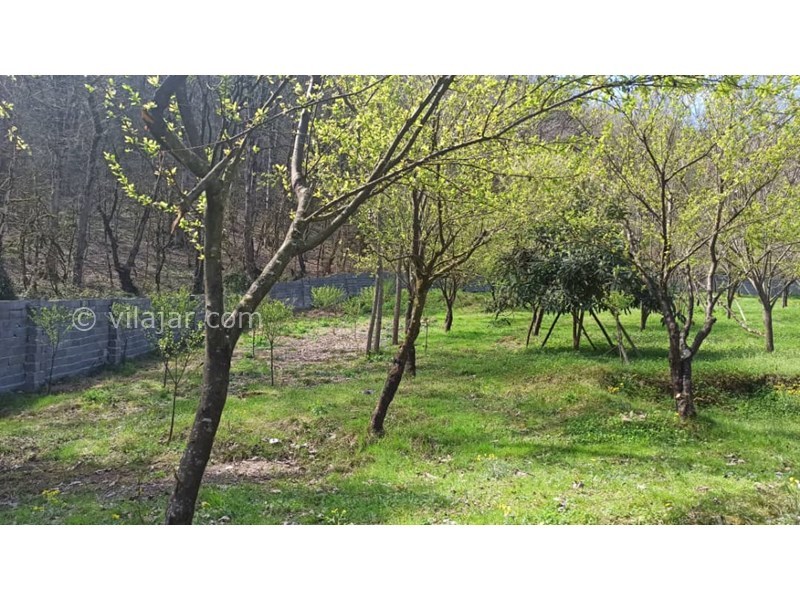 عکس شماره 766411 - اجاره ویلا جنگلی در سوادکوه زیراب - 