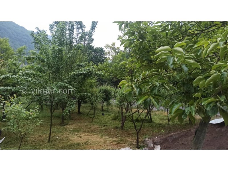 عکس شماره 766415 - اجاره ویلا جنگلی در سوادکوه زیراب - 