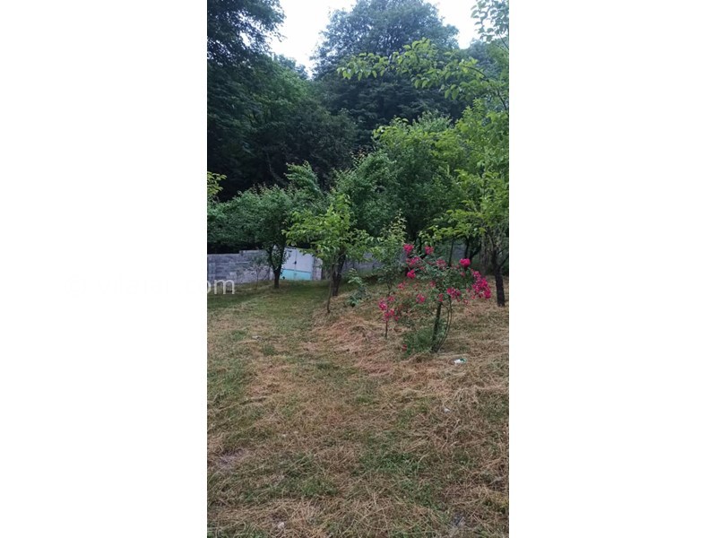 عکس شماره 766416 - اجاره ویلا جنگلی در سوادکوه زیراب - 