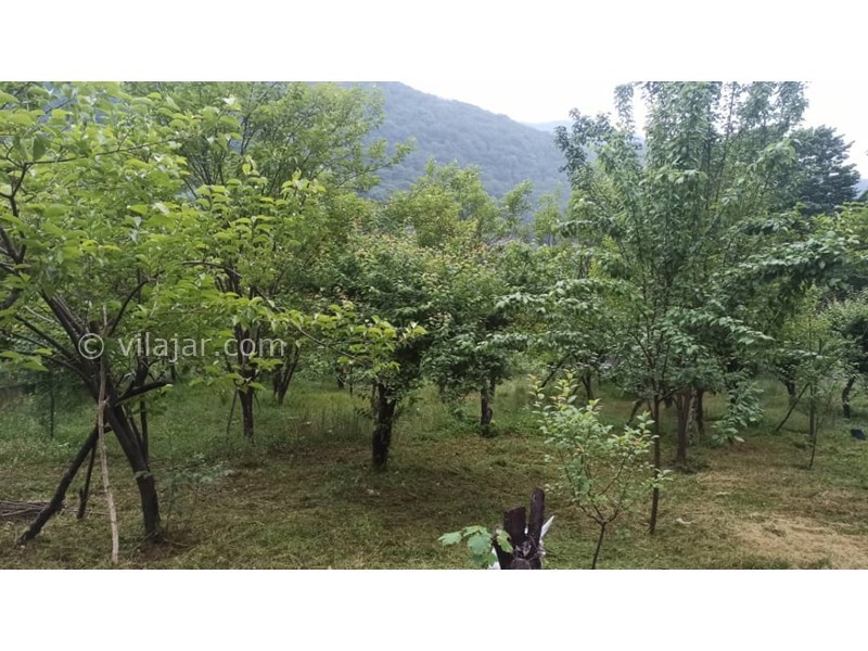 عکس شماره 766417 - اجاره ویلا جنگلی در سوادکوه زیراب - 