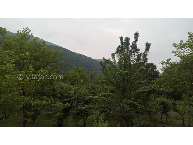 عکس شماره 766418 - اجاره ویلا جنگلی در سوادکوه زیراب - 