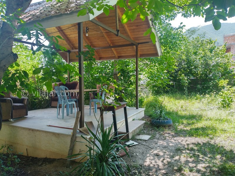 عکس شماره 766549 - اجاره ویلا در کلاردشت - حیاط باغی سرسبز