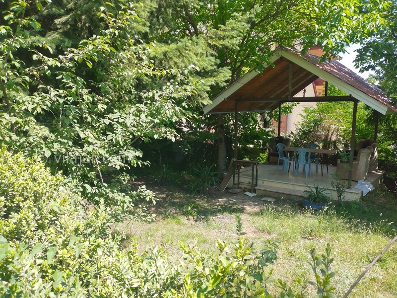 عکس شماره 766551 - اجاره ویلا در کلاردشت - حیاط باغی 