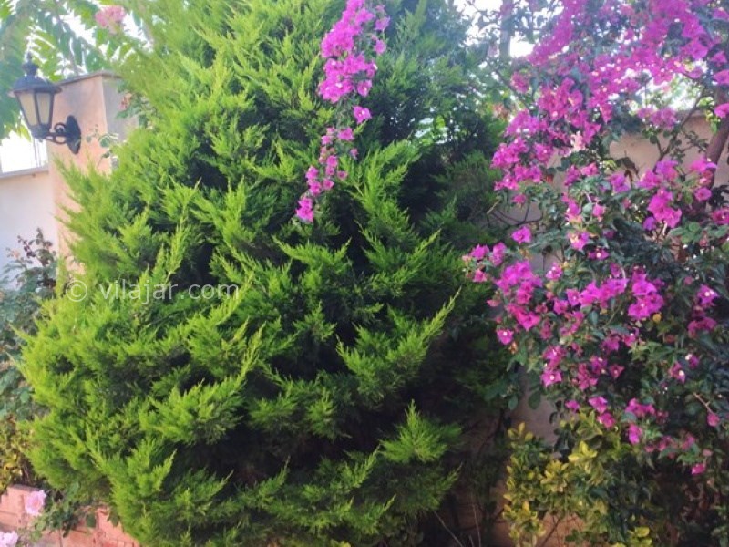 عکس شماره 766623 - اجاره ویلا استخر سرپوشیده نوشهر - 