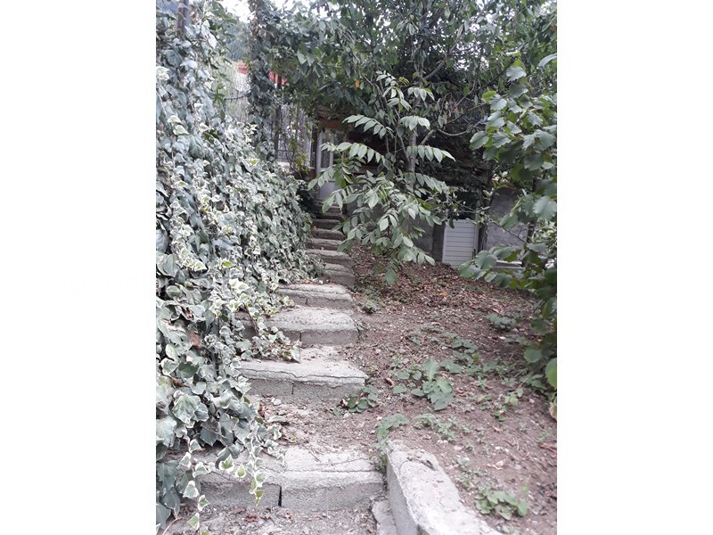 عکس شماره 766742 - اجاره اقامتگاه جنگلی در گردنه حیران - 