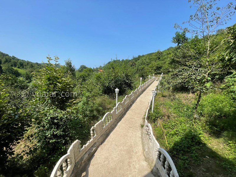 عکس شماره 766784 - اجاره کلبه چوبی جنگلی تنکابن - 