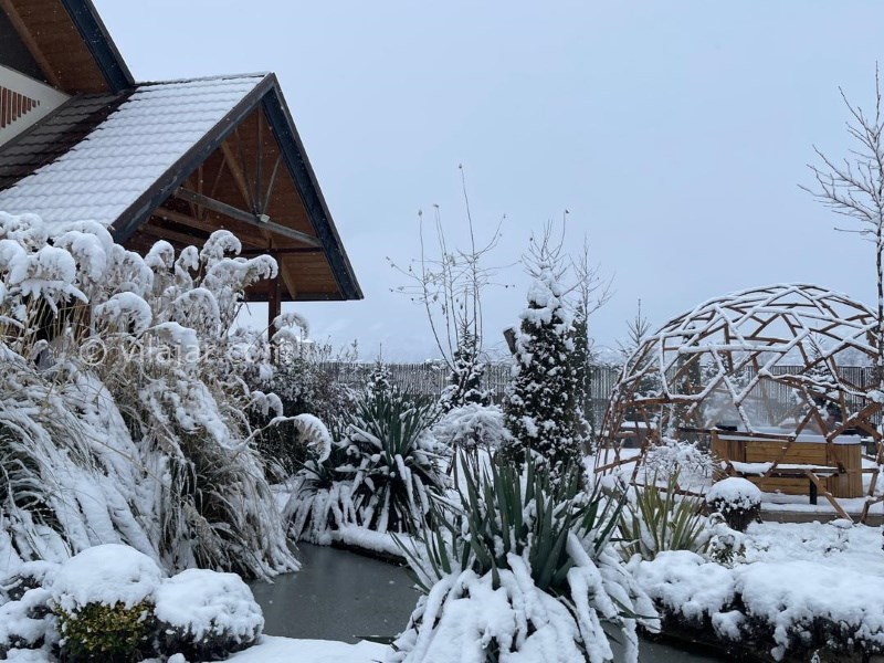 عکس شماره 766921 - ویلا با استخر و جکوزی کلاردشت - 