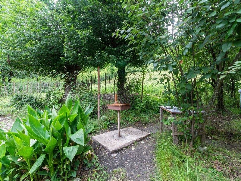 عکس شماره 767110 - اجاره ویلا در دل جنگل ماسال - 