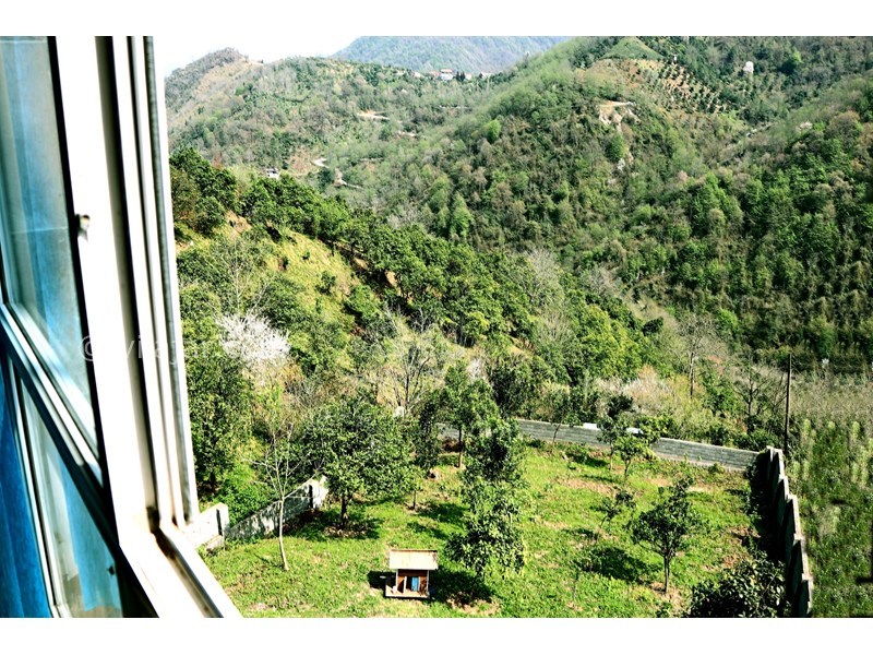 عکس شماره 767123 - اجاره اقامتگاه در چابکسر سرولات -