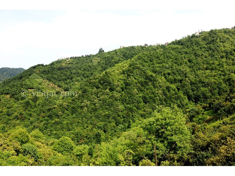 عکس شماره 767124 - اجاره اقامتگاه در چابکسر سرولات -