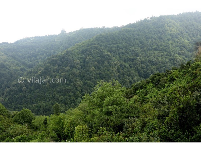 عکس شماره 767125 - اجاره اقامتگاه در چابکسر سرولات -