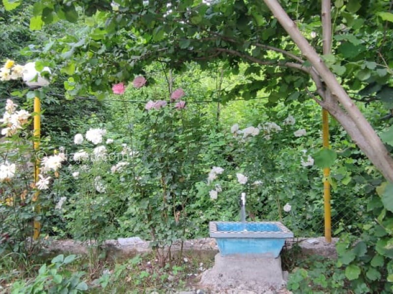 عکس شماره 767444 - اقامتگاه جنگلی در گردنه حیران - 