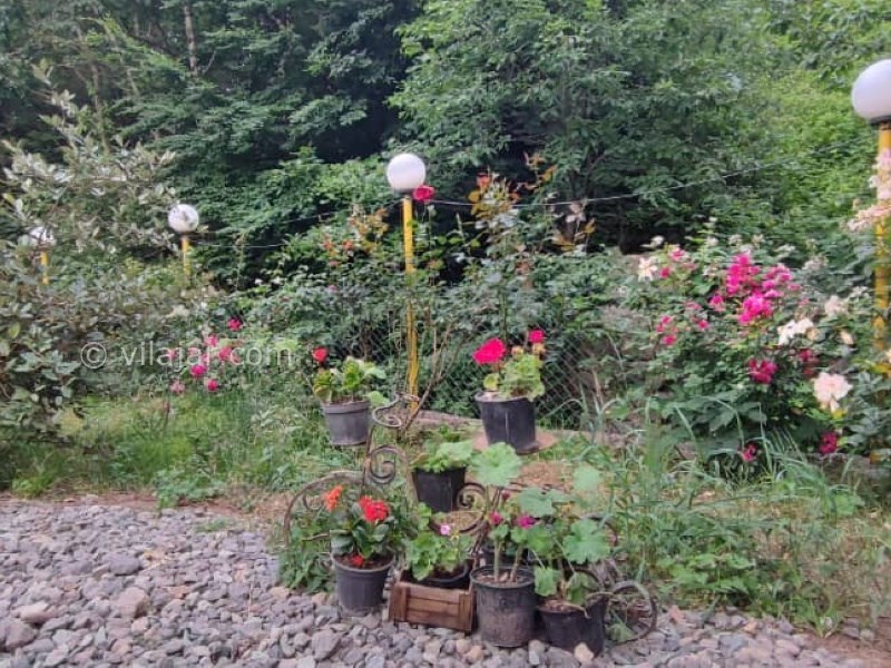 عکس شماره 767445 - اقامتگاه جنگلی در گردنه حیران - 