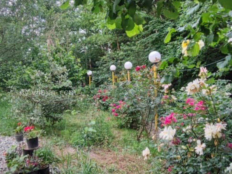 عکس شماره 767447 - اقامتگاه جنگلی در گردنه حیران - 