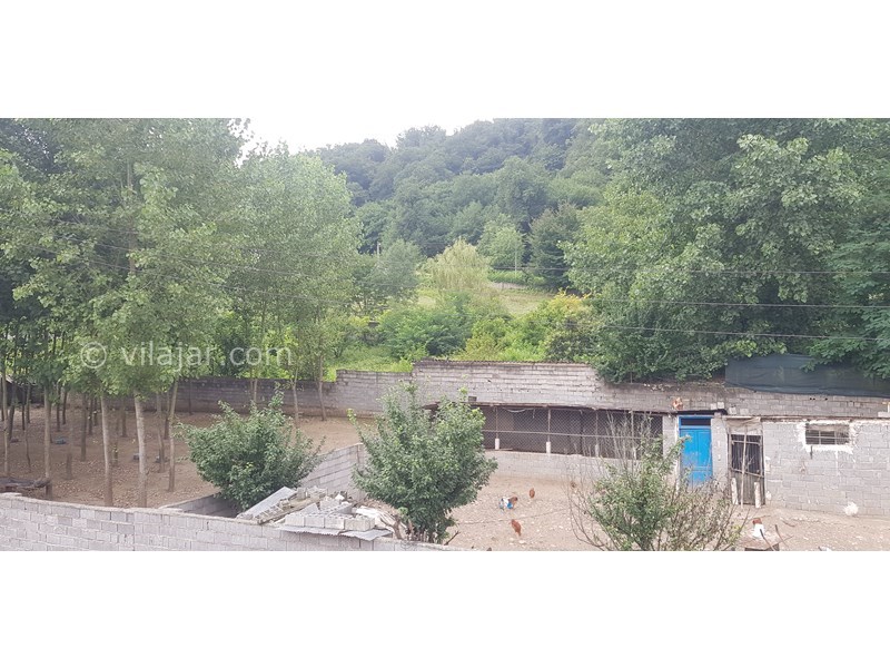 عکس شماره 768172 - اجاره اقامتگلاه جنگلی شیرگاه - 