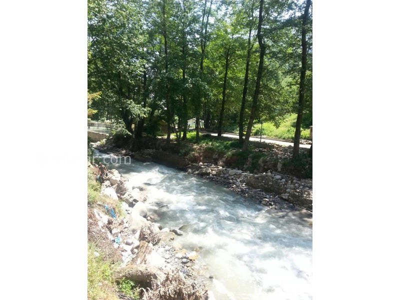 عکس شماره 768386 - ویلا جنگلی کنار رودخانه کلاردشت - 