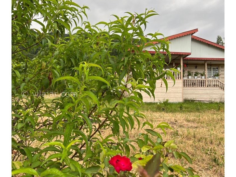 عکس شماره 768627 - اجاره ویلا جنگلی در ماسال شاندرمن - 