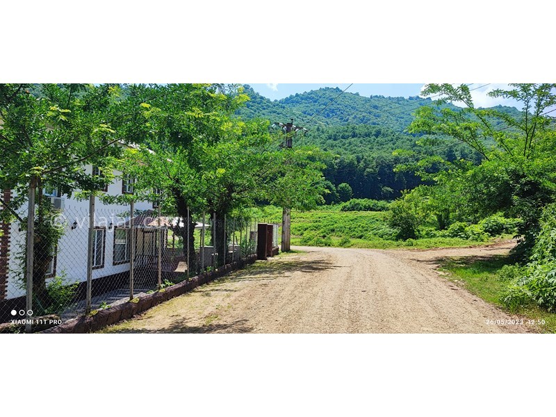 عکس شماره 768791 - اجاره ویلا در ماسال جنگلی - 